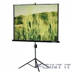 Lumien Master View LMV-100107 Экран на треноге (153х203), рабочая область (147х197) 4:3 напольный рулонный