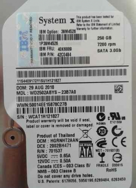 Жесткий диск IBM 39M4526 250GB SATA II 3.5 HOT-SWAP, 39M4529, 40K6889