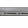 NS10829P PoE, коммутатор, настольный, 9 портовый, 8 PoE 802.3af 100Mbit портов, 15.4W, 1 Uplink 1Gbit порт, кабель питания ЕВРО, серый