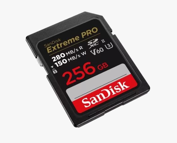 Карта памяти SDXC 256GB UHS-II SDSDXEP-256G-GN4IN SANDISK