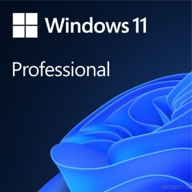 Microsoft Windows 11 [FQC-10529] Professional English 64-bit {1pk DSP OEI DVD}