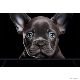 Topdevice 32&quot; TDTV32CS08F_BK/FHD/VA/Smart SBER/1-8 Гб/BT/60Гц/черный