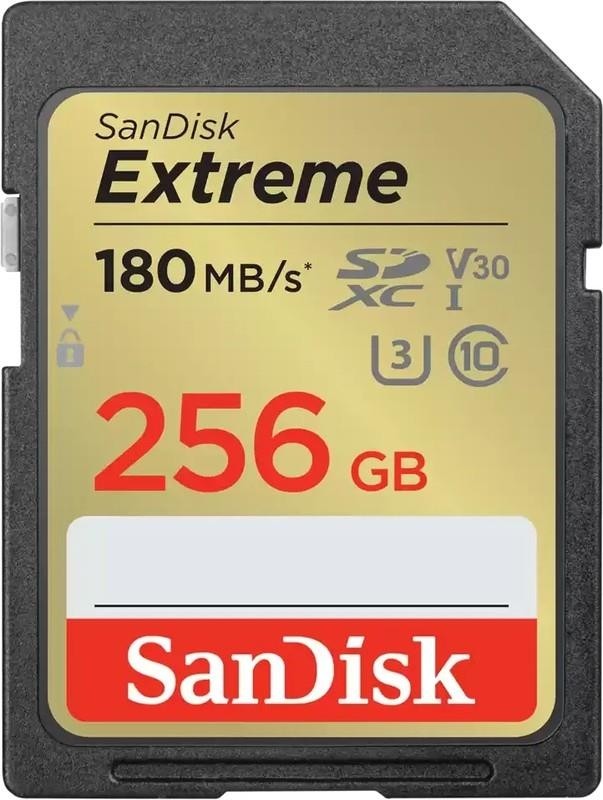 Карта памяти SDXC 256GB UHS-1 SDSDXVV-256G-GNCIN SANDISK