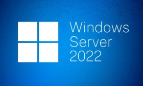 Лицензия OEM Windows Server CAL 2022 Russian 1pk DSP OEI 1 Clt Device CAL (R18-06421) MICROSOFT